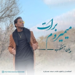 دانلود آهنگ پیمان آهنکوب میمیروم برات